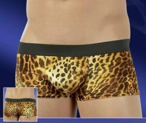boxer felino