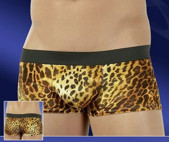 Bóxer Felino 1 Boxer Felino