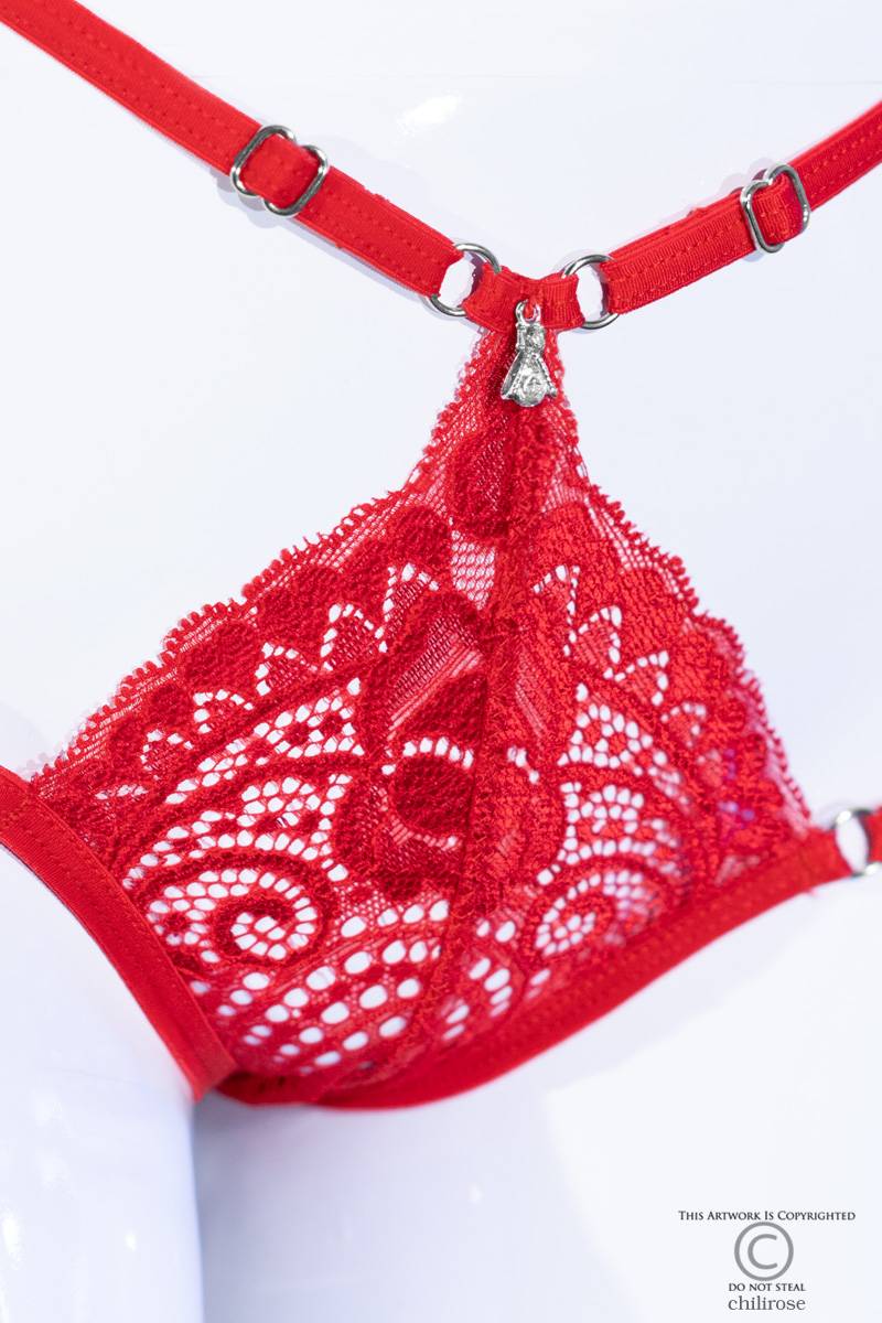 Braguitas Ajustables – Encaje Sensual Con Detalles Brillantes 3 Braguitas Ajustables – Encaje Sensual Con Detalles Brillantes - Imagen 3
