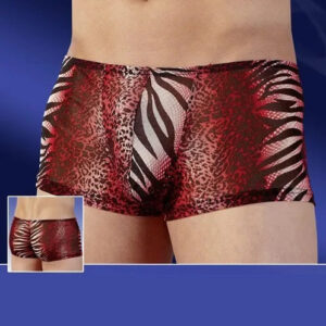 Boxer